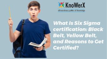 Six Sigma Certification: Black Belt, Yellow Belt, and Reasons to Get Certified?