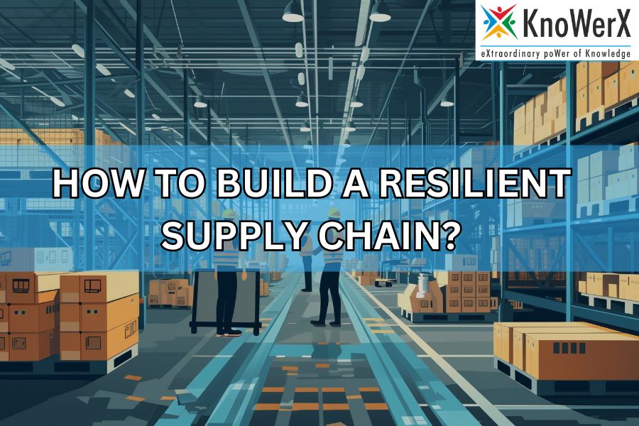 How to Build a Resilient Supply Chain?