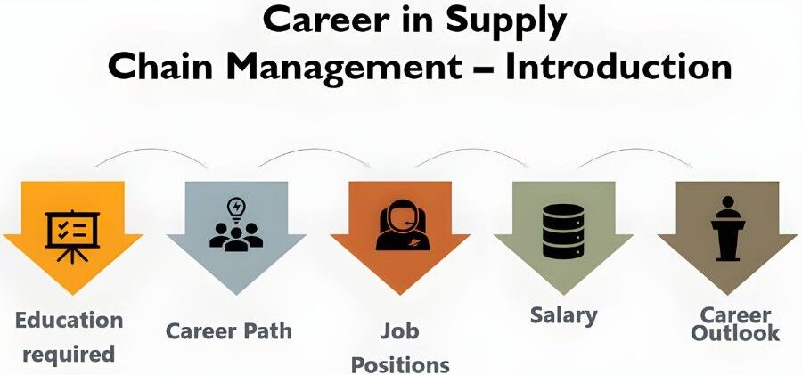 Understanding the Ins and Outs of Supply Chain Management