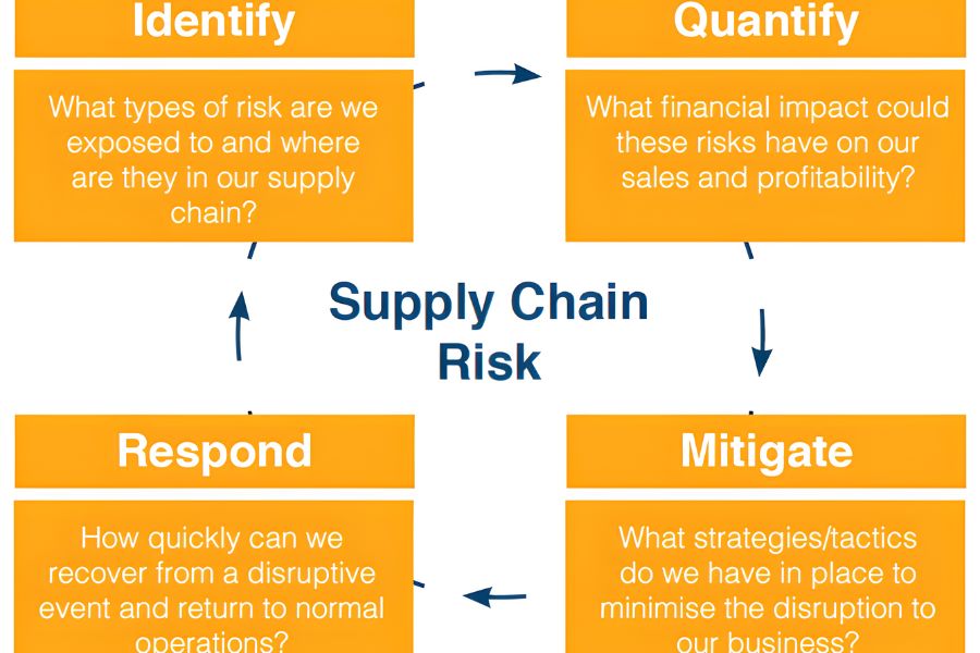 Risk Mitigation Strategies