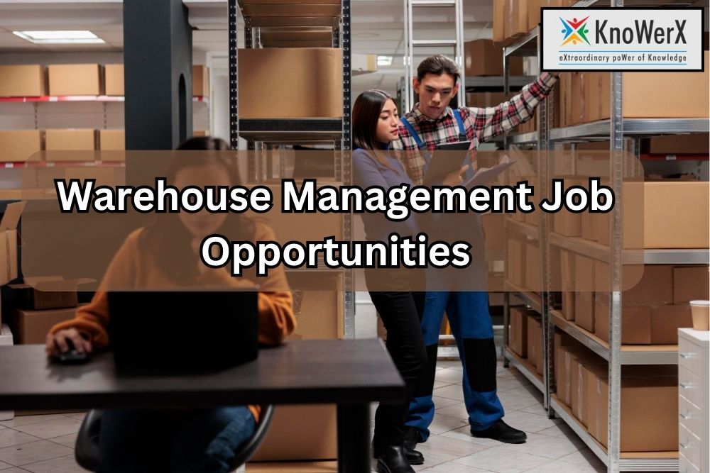 Warehouse Management Job Opportunities: Trends and Insights