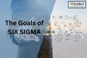 Six Sigma Goals: Boost Quality, Cut Waste