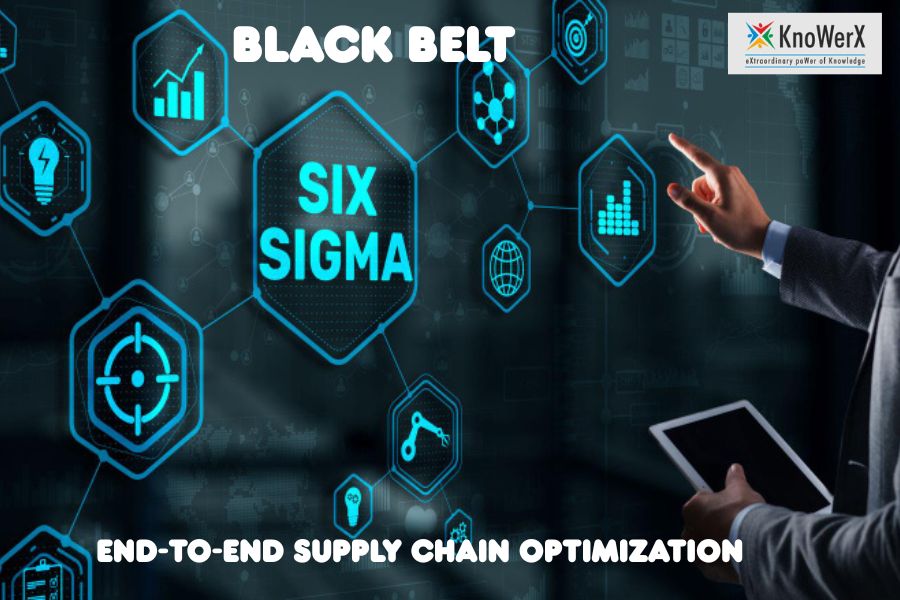 End-to-End Supply Chain OptimizationBlack Belt Six Sigma for End-to-End Supply Chain Optimization