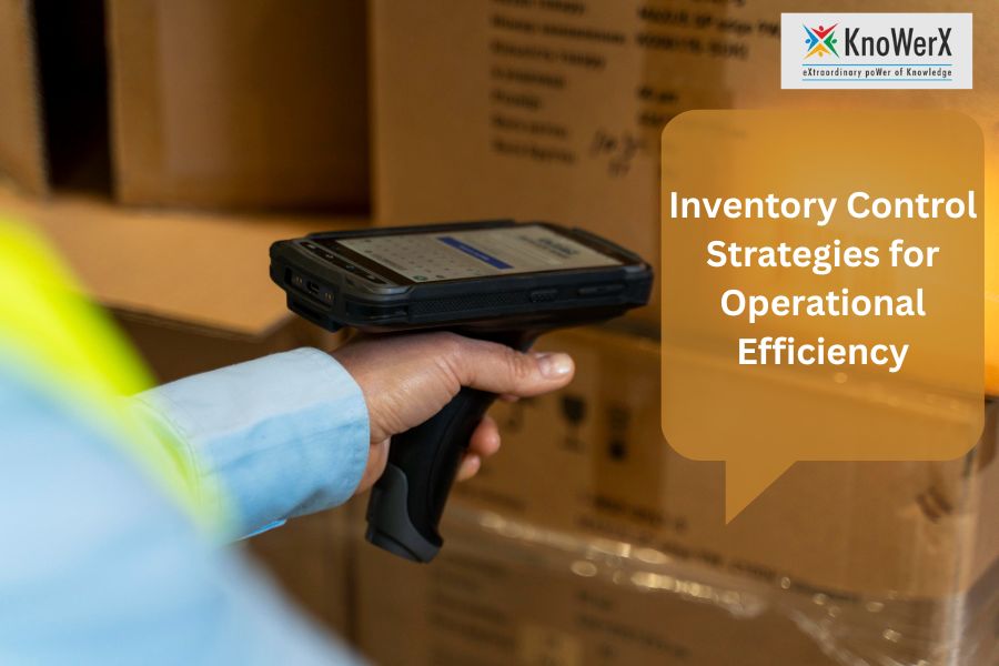 Inventory Control Strategies for Operational Efficiency