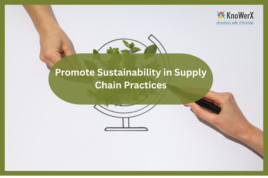 Promote Sustainability in Supply Chain Practices